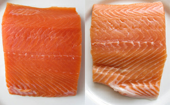 Salmon comparison